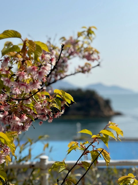 Open Spaces Japan Guide
