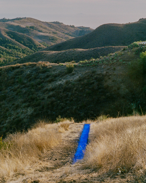 Tea In Situ: Malibu Line – November 2