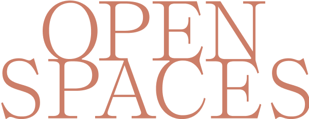 OPEN SPACES MEDIA LLC